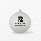 Frosted Ornament | White