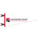 12 x 30 Flock Plus Pennant | White