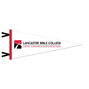 12 x 30 Flock Plus Pennant, White