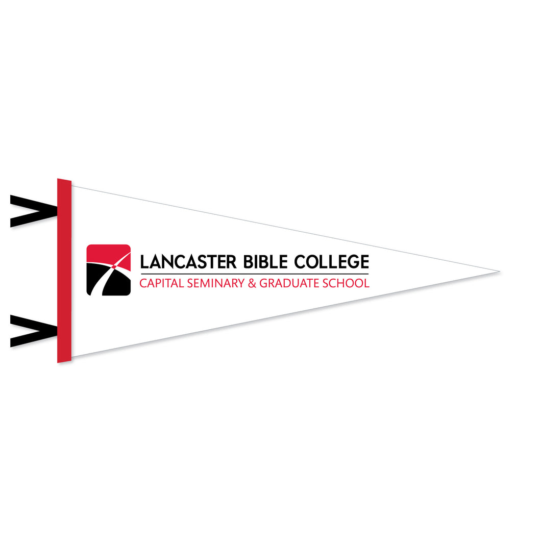 12 x 30 Flock Plus Pennant, White