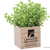 LBC Wooden Cube Blossom Kit