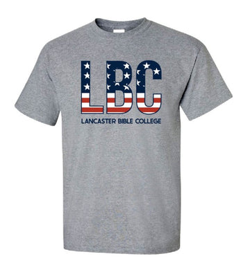 LBC AMERICA T-SHIRT, GRAY