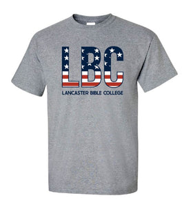 LBC AMERICA T-SHIRT, GRAY